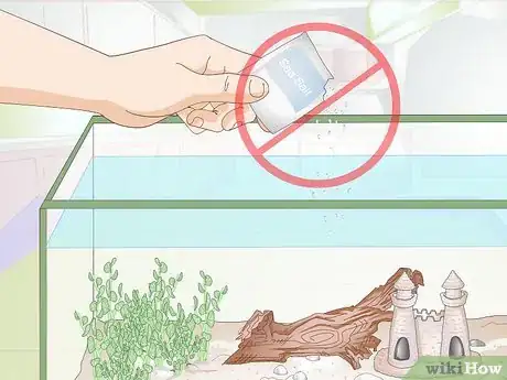Image intitulée Breed Molly Fish Step 11