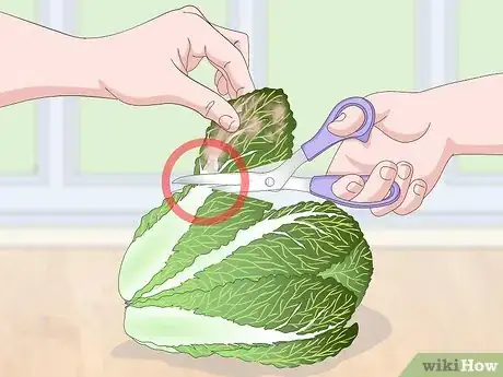 Image intitulée Check if Vegetables Are Spoiled Step 18