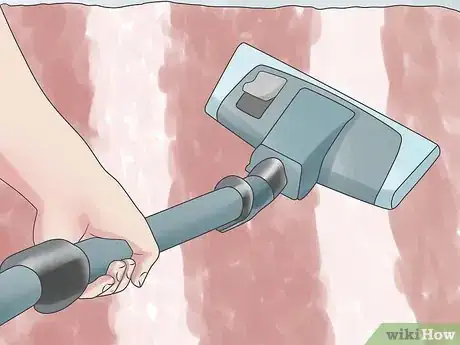 Image intitulée Get Rid of the Smell of Vomit in a Carpet Step 3