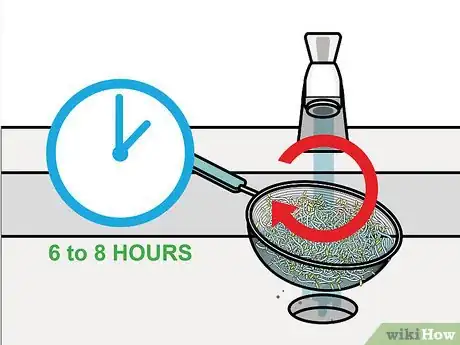 Image intitulée Grow Broccoli Sprouts Step 11