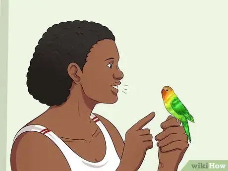 Image intitulée Teach Your Budgie to Talk Step 4