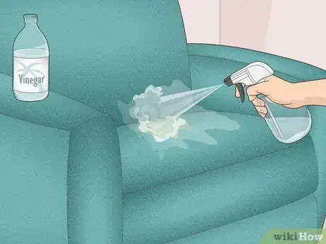 Image intitulée Get Vomit Smell Out of a Couch Step 3