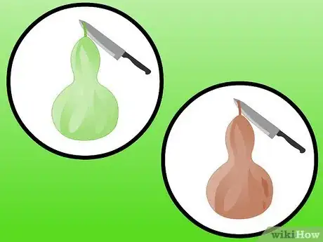 Image intitulée Dry Gourds Step 16
