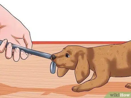 Image intitulée Obedience Train Your Puppy Before It's 10 Weeks Old Step 8