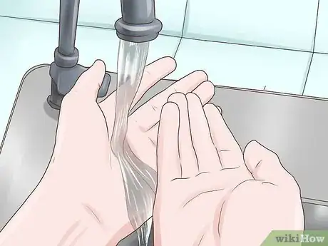Image intitulée Care for a Baby Wild Mouse Step 11
