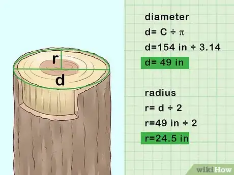 Image intitulée Determine the Age of a Tree Step 2