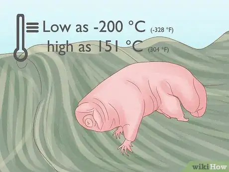 Image intitulée Find and Care for a Pet Tardigrade (Water Bear) Step 1