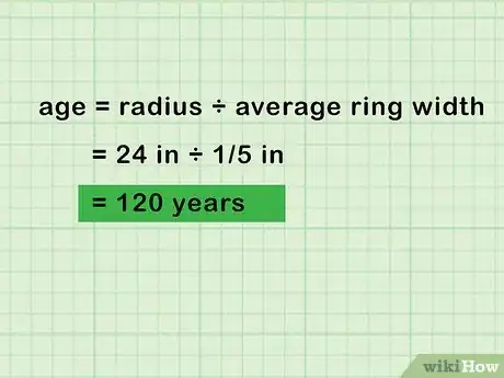 Image intitulée Determine the Age of a Tree Step 6