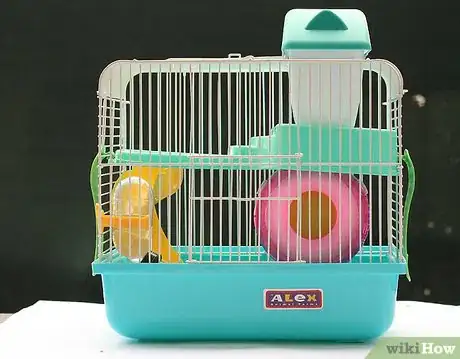 Image intitulée Care for a Hamster Step 1