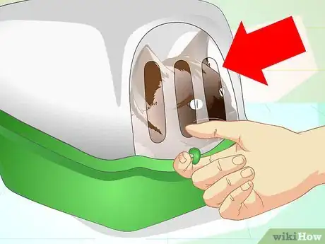 Image intitulée Help a Cat with a Broken Shoulder Step 14