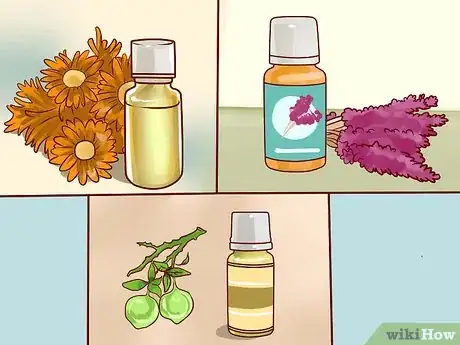 Image intitulée Be a Modern Hippie Step 12