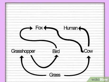Image intitulée Draw a Food Web Step 3