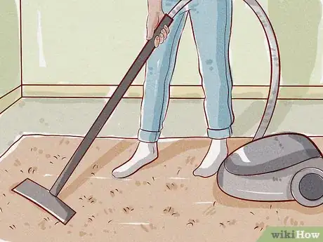 Image intitulée Tell if Your Dog Has Fleas Step 12