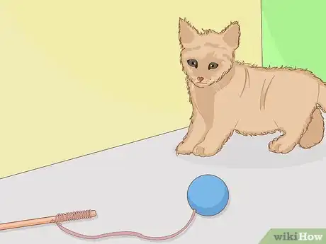 Image intitulée Make Cat Toys out of Common Household Items Step 22
