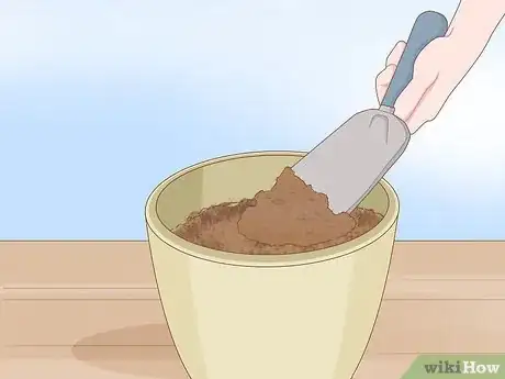 Image intitulée Plant Poppy Seeds Step 5