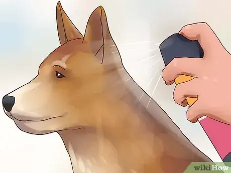 Image intitulée Keep Your Dog from Chasing Cats Step 22
