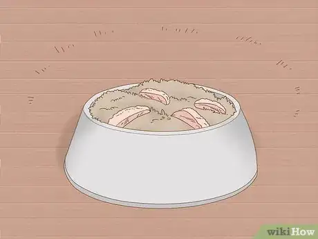 Image intitulée Care for a Dog After Spaying Step 6
