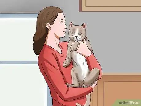 Image intitulée Carry a Cat Step 21