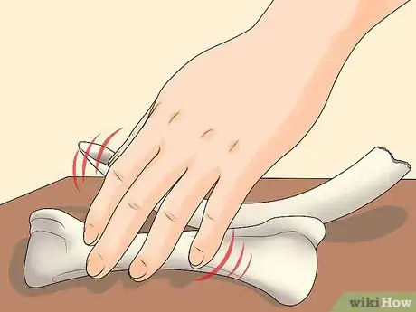 Image intitulée Tell Ivory from Bone Step 3
