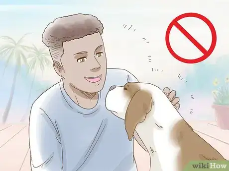 Image intitulée Reduce Anxiety in Dogs Step 1