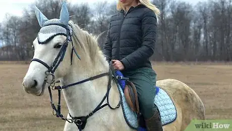 Image intitulée Ride a Horse Step 2