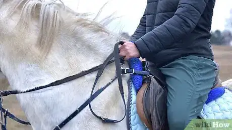 Image intitulée Ride a Horse Step 4