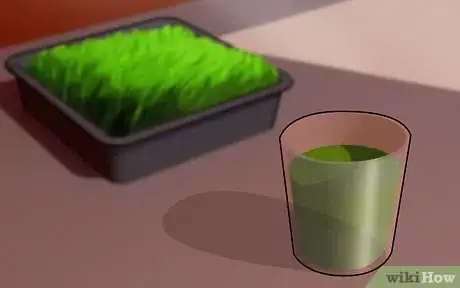 Image intitulée Grow Wheatgrass at Home Step 13