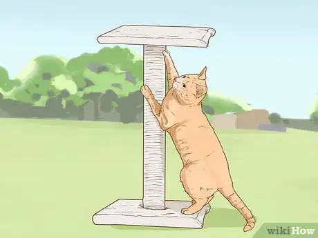 Image intitulée Change an Outdoor Cat Into an Indoor Cat Step 1