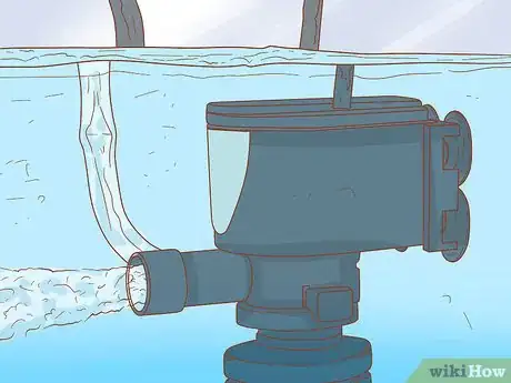 Image intitulée Know How Many Fish You Can Place in a Fish Tank Step 2