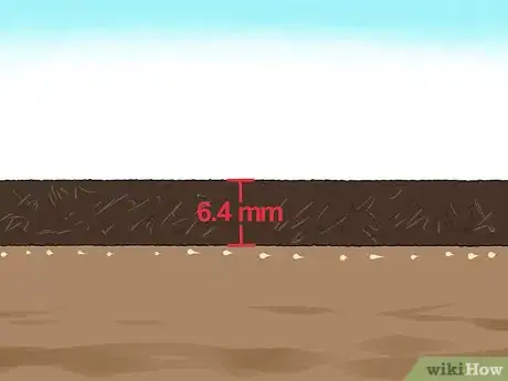 Image intitulée Sow Grass Seed Step 10