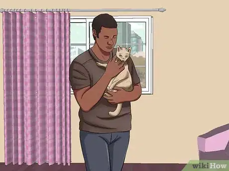 Image intitulée Carry a Cat Step 15
