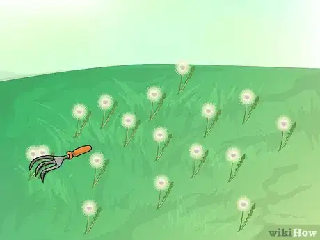 Image intitulée Plant Wildflowers Step 2Bullet3