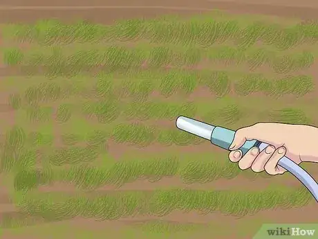 Image intitulée Sow Grass Seed Step 11