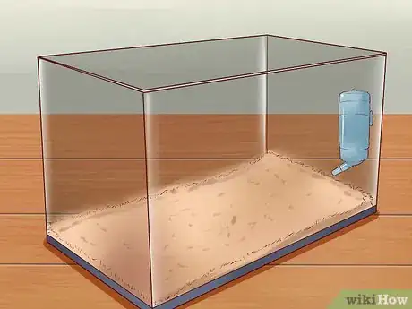 Image intitulée Care for Baby Mice Step 13