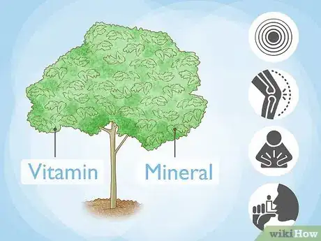 Image intitulée Grow a Moringa Tree Step 14