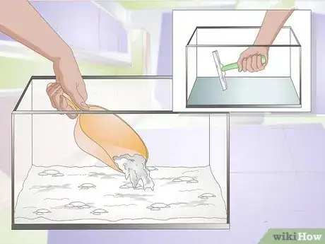 Image intitulée Acclimate Your Betta Step 2