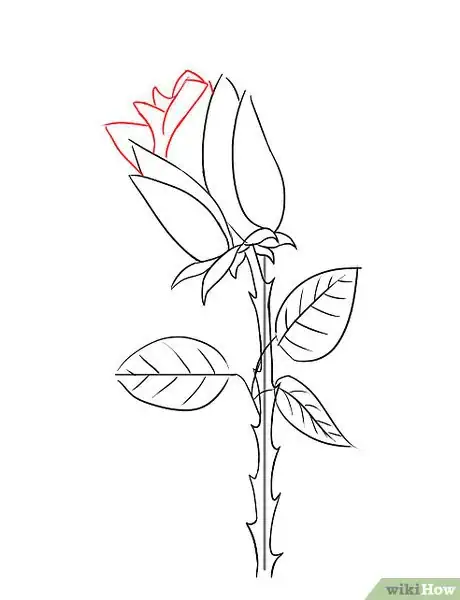 Image intitulée Draw a Rose Step 10