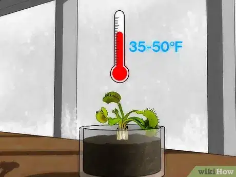 Image intitulée Grow a Venus Flytrap Step 8
