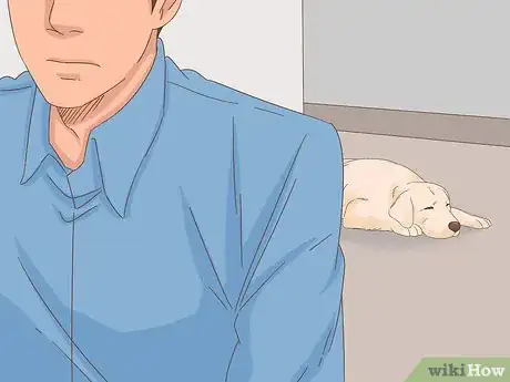 Image intitulée Care for a Dog After Spaying Step 8