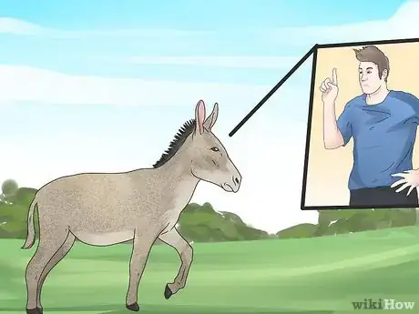 Image intitulée 65774 2