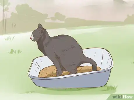 Image intitulée Change an Outdoor Cat Into an Indoor Cat Step 2