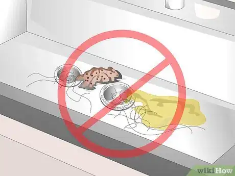 Image intitulée Clean a Sink Drain Step 12