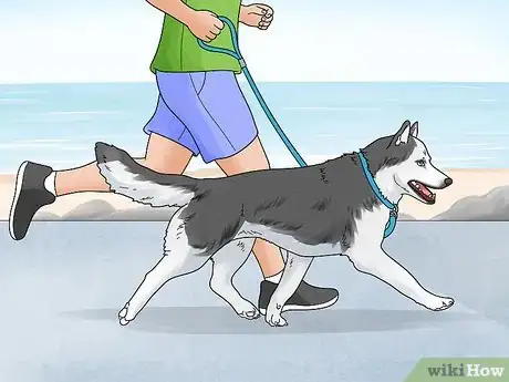 Image intitulée Stop Dogs from Barking at People Step 9