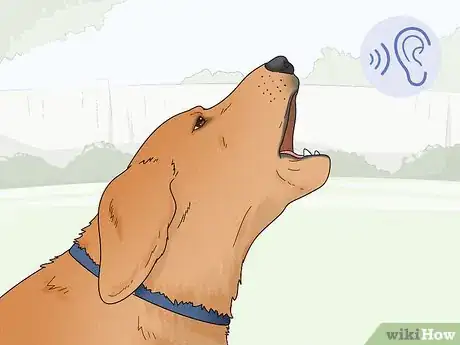 Image intitulée Stop Dogs from Barking at People Step 3