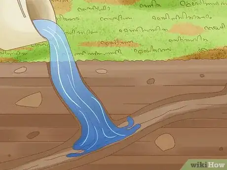 Image intitulée Catch Moles Step 12