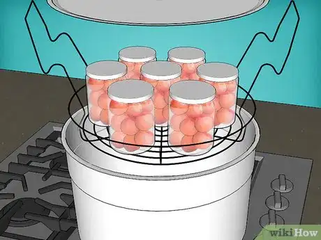 Image intitulée Preserve Tomatoes Step 16