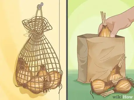 Image intitulée Cure Daffodil Bulbs for Replanting Step 9