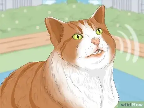 Image intitulée Communicate with Animals Step 6
