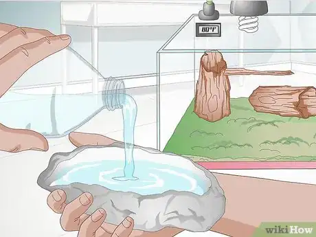 Image intitulée Care for Salamanders Step 5