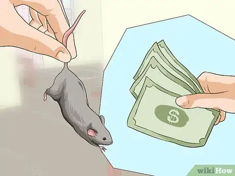 Image intitulée Feed a Snake Step 1